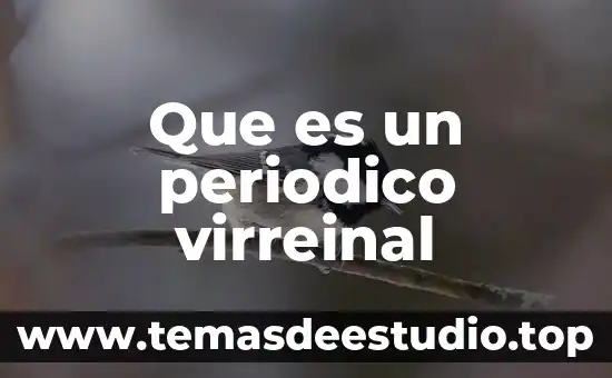 Que es un periodico virreinal