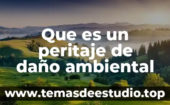 Qué es la multiplicación de números con signo 4 Que es un peritaje de daño ambiental