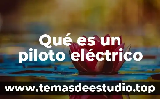 Documento del plan guadalupe victoria que es 4 Qué es un piloto eléctrico