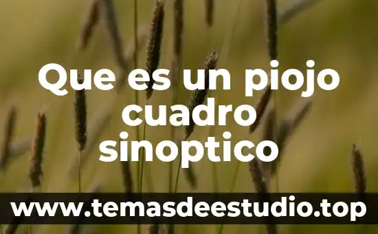 Que es la cultura cuadro sinoptico 8 Que es un piojo cuadro sinoptico