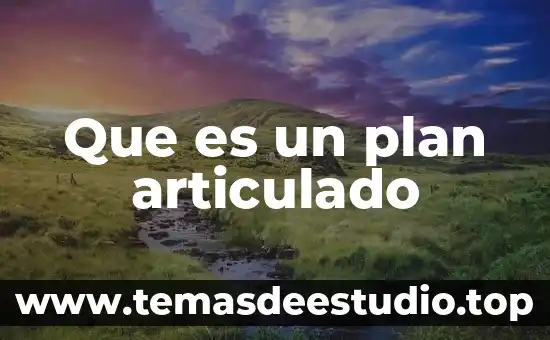 Que es el plan de desarrollo de diseño 3 Que es un plan articulado