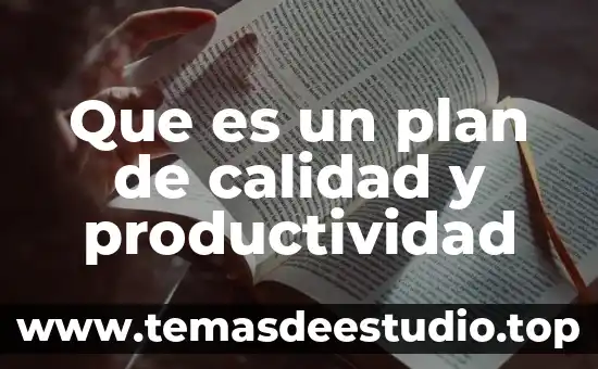 Que es un plan de calidad y productividad