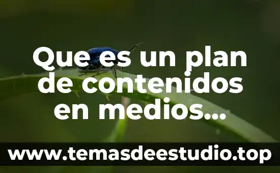 Qué es un gestor de contenidos web 7 Que es un plan de contenidos en medios sociales