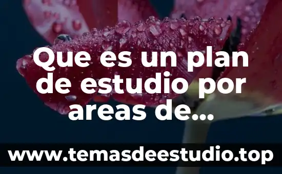 Que es un xenobiotico unam 3 Que es un plan de estudio por areas de conocimiento