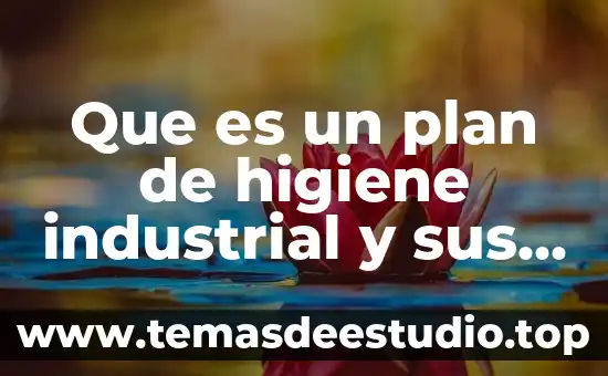 Que es un plan de higiene industrial y sus derivados