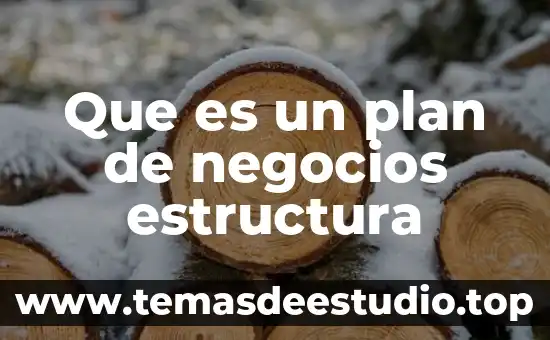 Qué es la teoría de los negocios 6 Que es un plan de negocios estructura