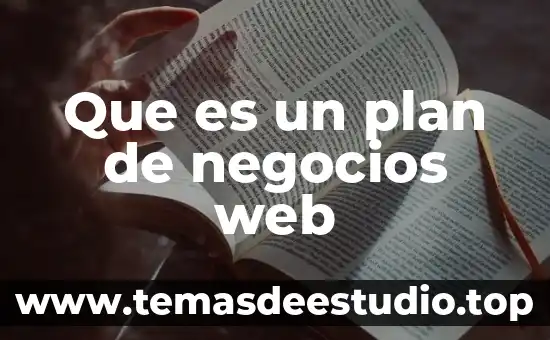 Qué es la teoría de los negocios 8 Que es un plan de negocios web