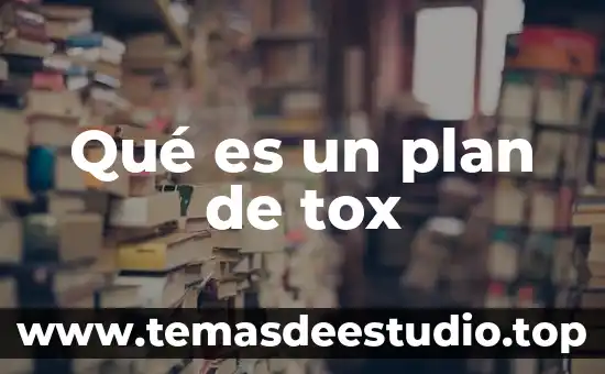 Qué es un plan de tox
