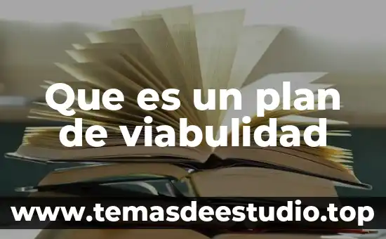 Que es el plan de desarrollo de diseño 4 Que es un plan de viabulidad