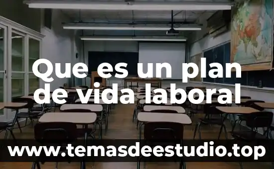 Que es un plan de vida laboral