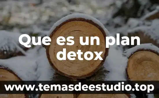 Que es contexto social de una historia 7 Que es un plan detox