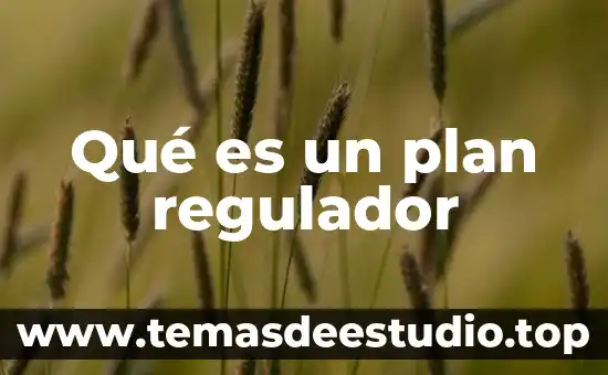 Qué es un plan regulador