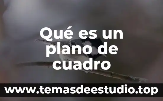 Qué es un plano de cuadro