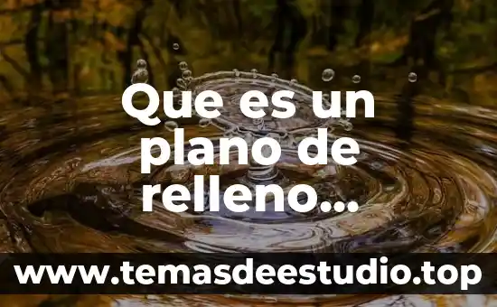 Qué es un registro sanitario en construcción 4 Que es un plano de relleno sanitario