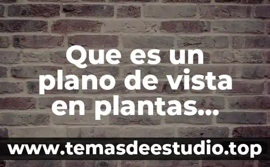 Que es un plano de vista en plantas ejemplos