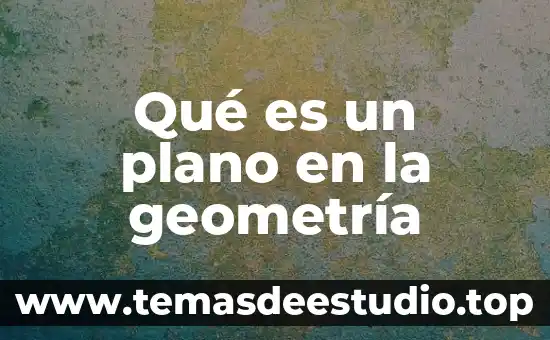 Que es ecotipo significado 3 Qué es un plano en la geometría