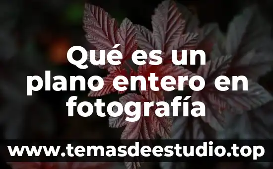 Qué es un plano entero en fotografía