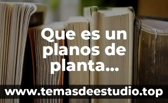 Que es un angios de un planta 3 Que es un planos de planta topografia
