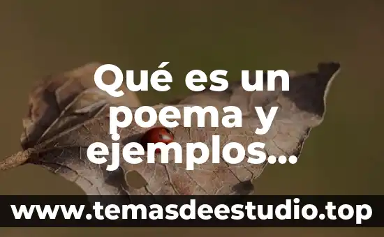 Que es verso y ejemplos cortos 5 Qué es un poema y ejemplos cortos