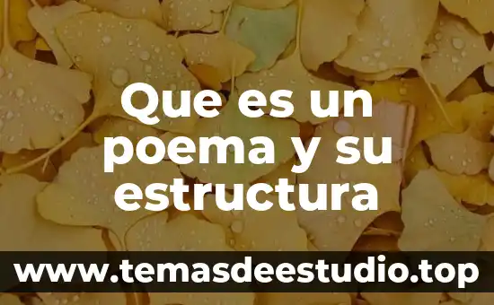 Que es un poema y su estructura