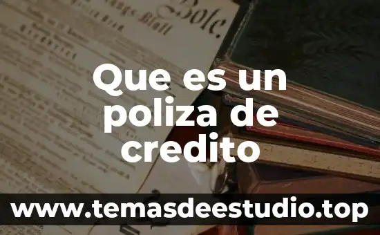 Que es la cultura empresarial y como se crea 3 Que es un poliza de credito