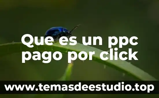 Que es imputacion de pago 5 Que es un ppc pago por click