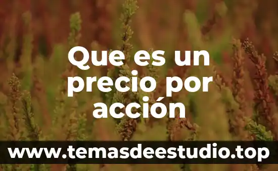 Que es la accion orexigenica 4 Que es un precio por acción