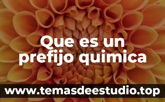 Que es movimiento en ciencias naturales 7 Que es un prefijo quimica