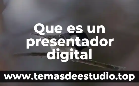 Que es conversor de señal digital a analógica 6 Que es un presentador digital