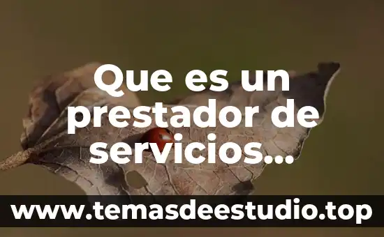 Que es un prestador de servicios turisticos definicion