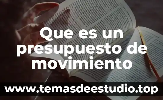 Que es presupuesto en salud mexico 5 Que es un presupuesto de movimiento