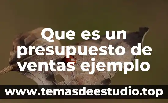 Que es un presupuesto de ventas ejemplo