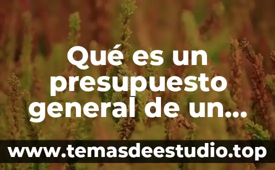 Que es un presupuesto de movimiento 5 Qué es un presupuesto general de un proyecto