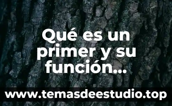 Qué es el estilo de aprendizaje visual org 4 Qué es un primer y su función genética