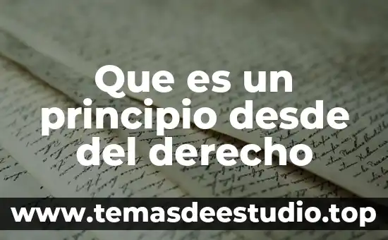 Que es un principio desde del derecho