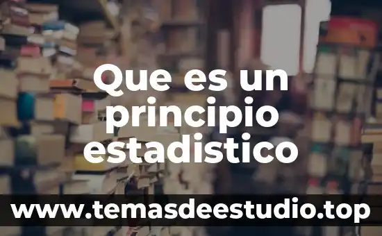 Que es un principio estadistico