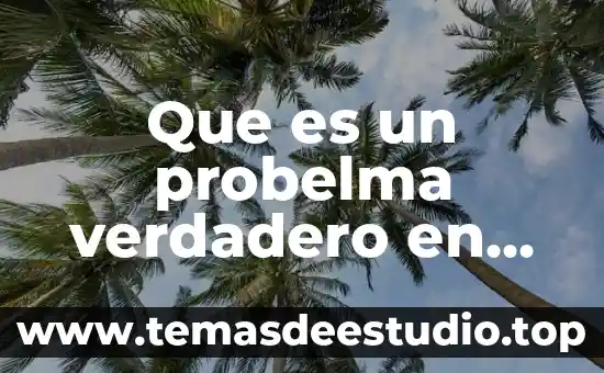 Metodo que es el camino que conduce al verdadero conocimiento 3 Que es un probelma verdadero en proyectos