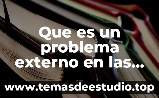 Que es un problema externo en las organizaciones