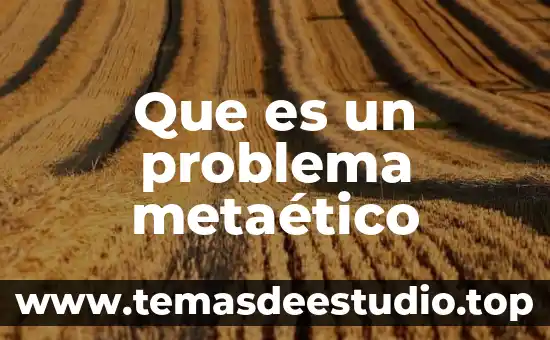 Que es problema de sobrepoblación 8 Que es un problema metaético