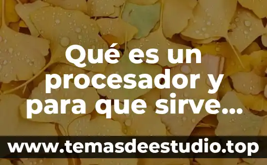 Que es y para que sirve la clave de sol 3 Qué es un procesador y para que sirve Yahoo