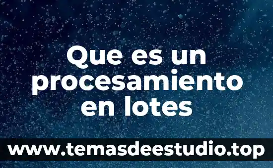 Que es venta de lotes 4 Que es un procesamiento en lotes