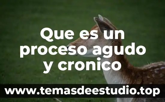 Qué es el estrés agudo concepto corto 5 Que es un proceso agudo y cronico