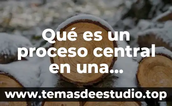 Qué es un proceso central en una empresa