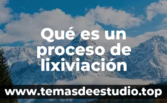 Qué es un proceso de preparación definición 5 Qué es un proceso de lixiviación