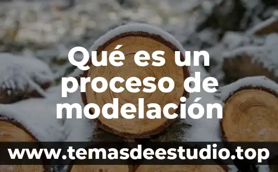 Qué es un proceso de modelación