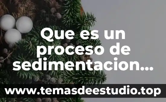 Qué es una planta tratadora de aguas negras o residuales 5 Que es un proceso de sedimentacion de aguas residuales