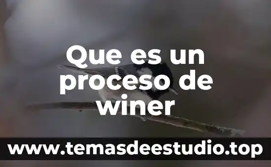 Qué es el proceso de digitalización de una señal 5 Que es un proceso de winer