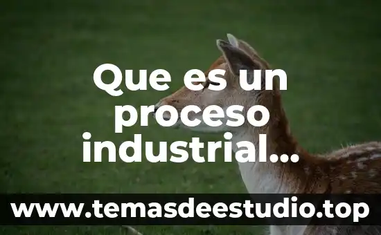Que es un proceso industrial sostenible