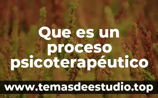Qué es un proceso en física 5 Que es un proceso psicoterapéutico