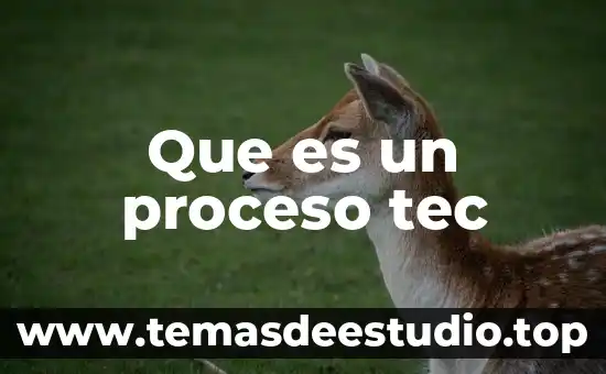 Que es un proceso tec